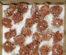 Lot: / to / Twinned Aragonite Clusters - Pieces #134142-2